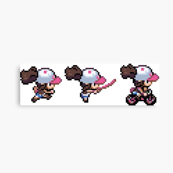 Pokemon Unova Black White Vinyl Sticker Sheets! B2W2 Snivy Tepig Oshawott  Hilda Hilbert Nate Rosa