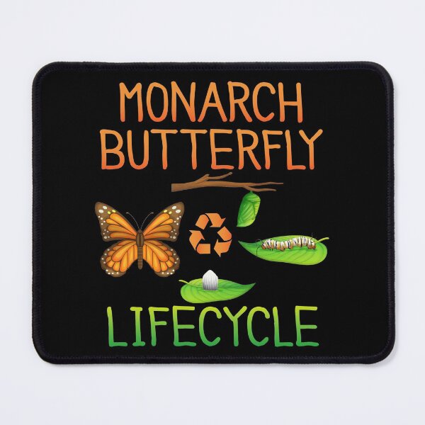 Item preview, Pretty Monarch Butterfly Lifecycle , Cocoon Caterpillar Into Pretty Orange Monarch Butterflies Life Cycle Metamorphosis designed and sold by Merchking1.