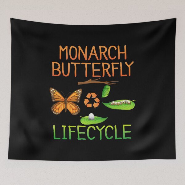Item preview, Pretty Monarch Butterfly Lifecycle , Cocoon Caterpillar  Into Pretty Orange Monarch Butterflies Life Cycle Metamorphosis  designed and sold by Merchking1.