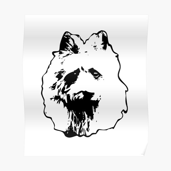 Australian Terrier Poster