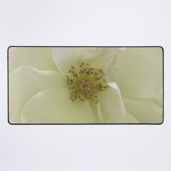 Item preview, Floribunda Rose Flower BR designed and sold by PLANTONE.