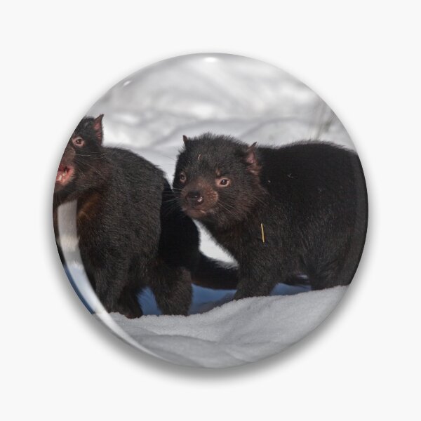 Item preview, Snow Devils designed and sold by tinnieopener.