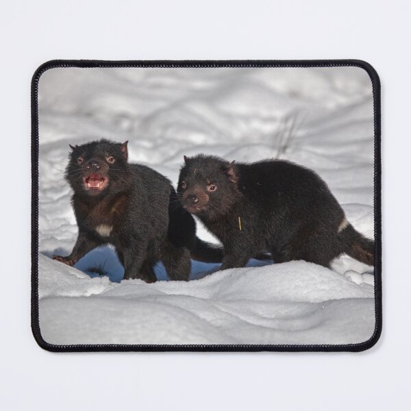 Item preview, Snow Devils designed and sold by tinnieopener.
