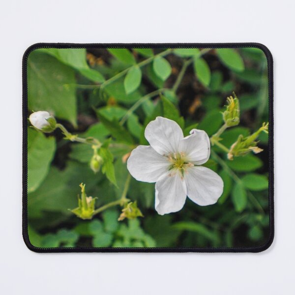 Item preview, Blooming and Budding designed and sold by MissJades.