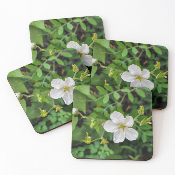 Item preview, Blooming and Budding designed and sold by MissJades.
