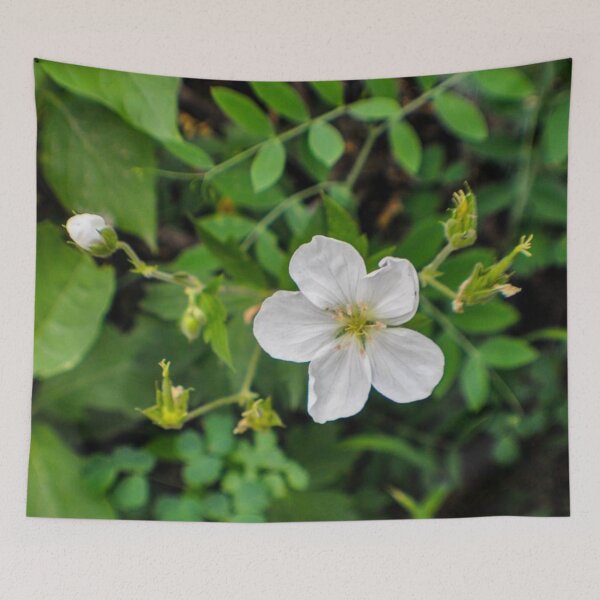 Item preview, Blooming and Budding designed and sold by MissJades.