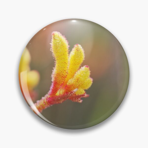 Item preview, Red and yellow Kangaroo paw plant macro designed and sold by hendrikspix.