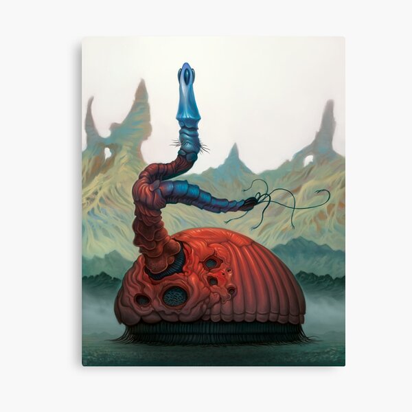 Magwan Flan Canvas Print