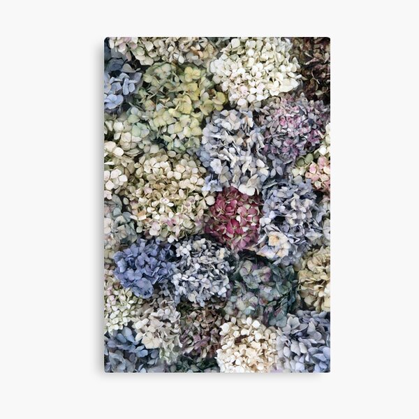 Decoración: Hortensias Secas | Redbubble