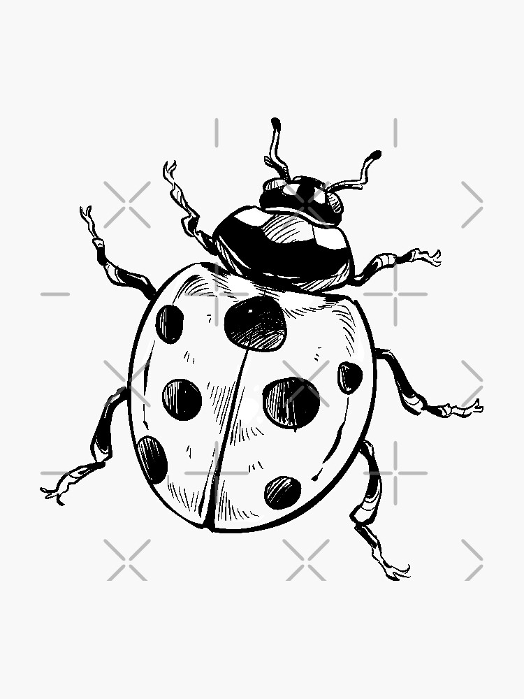 "Ladybug" Sticker for Sale by Sabrinamati Redbubble