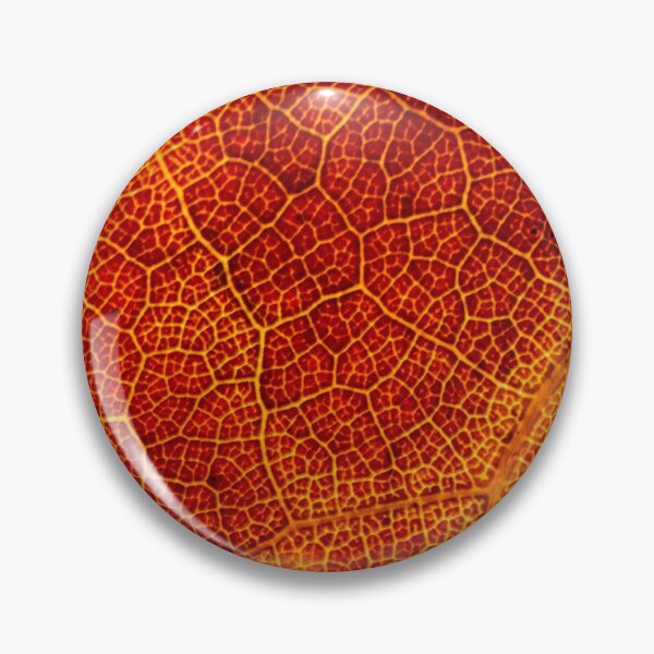 Item preview, Detail of an autumn leaf designed and sold by pietrofoto.