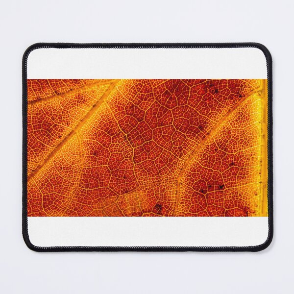 Item preview, Detail of an autumn leaf designed and sold by pietrofoto.