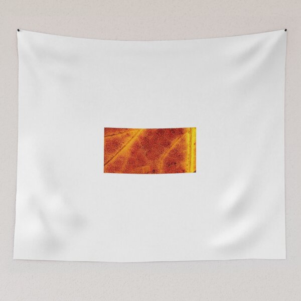 Item preview, Detail of an autumn leaf designed and sold by pietrofoto.