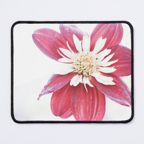 Item preview, Dahlia flower 1 designed and sold by DeborahMcGrath.