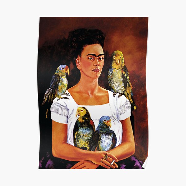 four birds Poster
