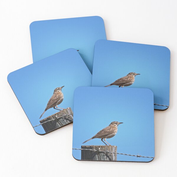 Item preview, Little grassbird on the lookout designed and sold by hendrikspix.