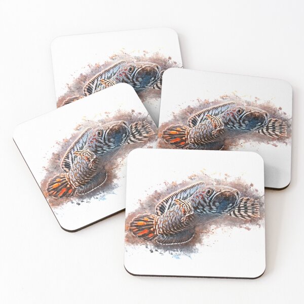 Item preview, Rainbow snakehead - Chana bleheri designed and sold by AquariumLutter.