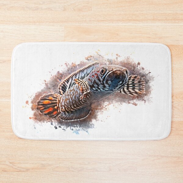 Item preview, Rainbow snakehead - Chana bleheri designed and sold by AquariumLutter.
