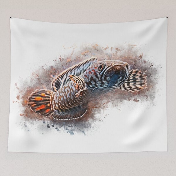 Item preview, Rainbow snakehead - Chana bleheri designed and sold by AquariumLutter.