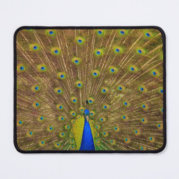 Item preview, Indian Peacock designed and sold by RobKellyPhoto.