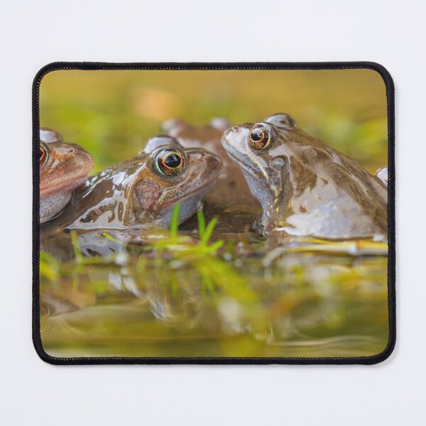 Item preview, Frogs designed and sold by RobKellyPhoto.