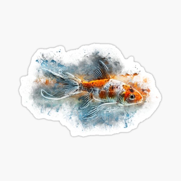 Shubunkin - Carassius auratus Sticker