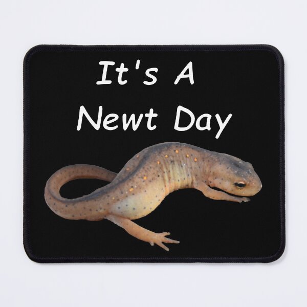 Item preview, It's A Newt Day Central Newt designed and sold by Paul-Prints.