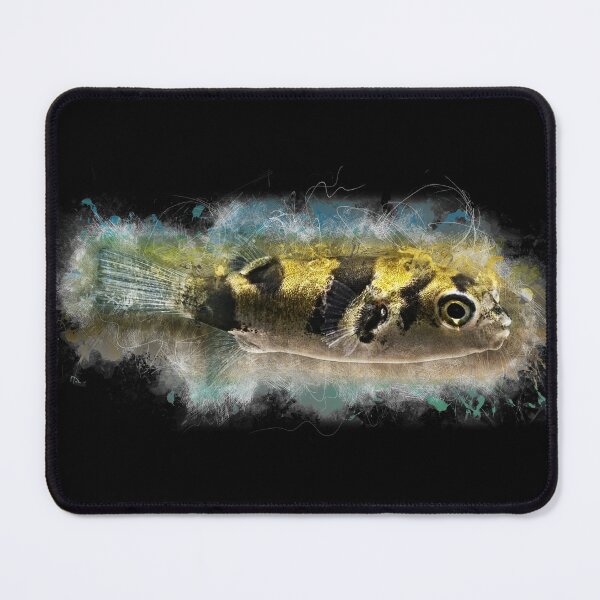 Item preview, Woodlouse puffer - Colomesus asellus designed and sold by AquariumLutter.