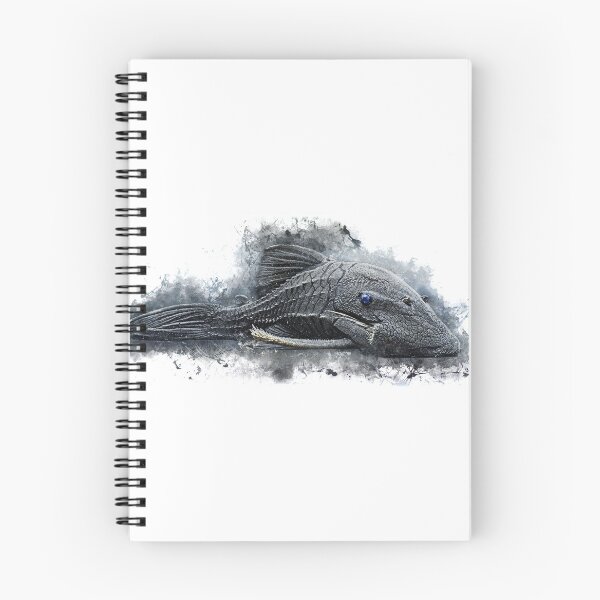 Item preview, Blue-eyed catfish - Panaque cochliodon designed and sold by AquariumLutter.
