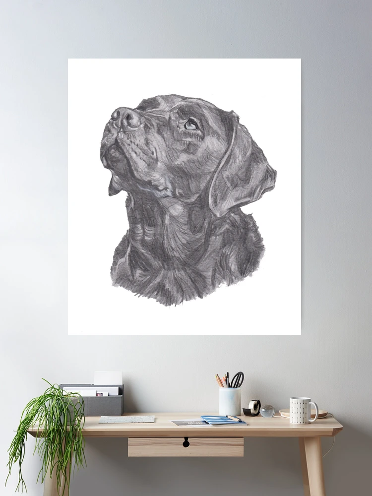 Stupell Resting Labrador Dog Pencil Sketch Gallery Wrapped Canvas Wall Art,  24 x 30