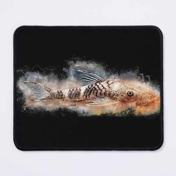Item preview, Peru zebra pygmy catfish - Nannoptopoma sp. "Peru", orange designed and sold by AquariumLutter.