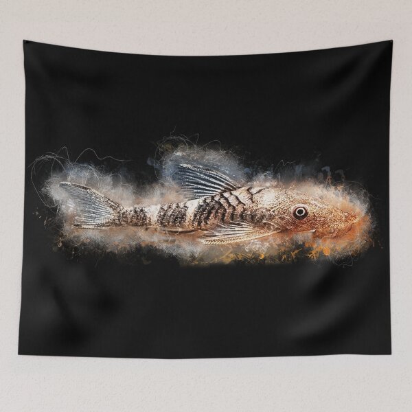 Item preview, Peru zebra pygmy catfish - Nannoptopoma sp. "Peru", orange designed and sold by AquariumLutter.
