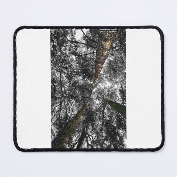 Lost in the Forest Mouse Pad