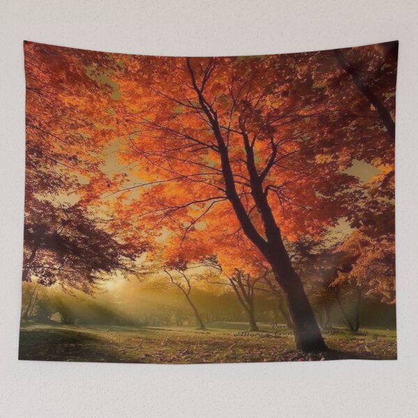 Item preview,  fall designed and sold by nohasmpr.