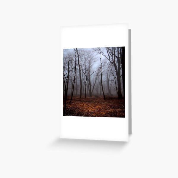 fall Greeting Card