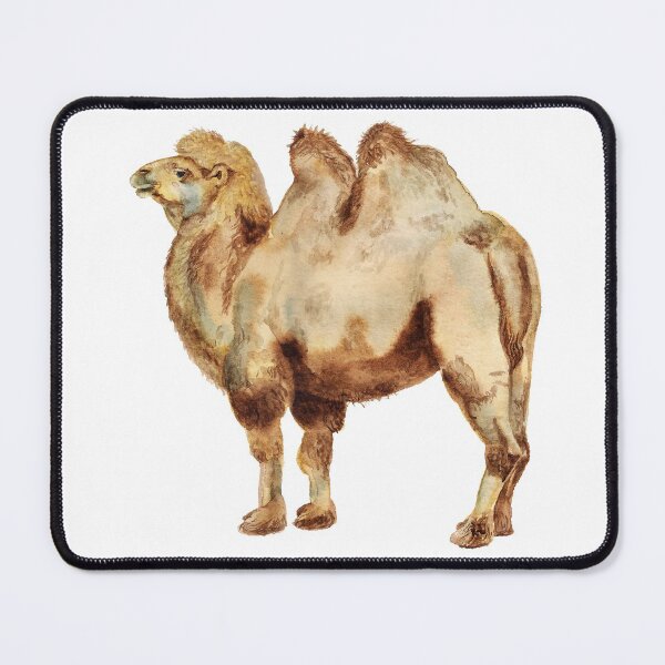 Item preview, Bactrian camel designed and sold by Shoshina.
