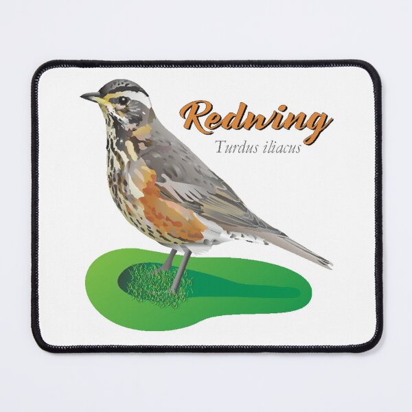 Item preview, Redwing Garden Bird Illustration designed and sold by BijouArt.