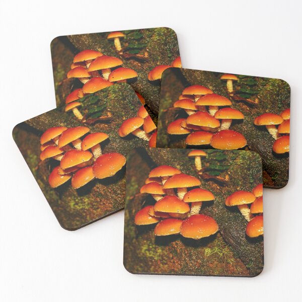 Item preview, A troop of Hypoloma fasciculare fungi mushrooms growing from rotten wood designed and sold by James-Cole.