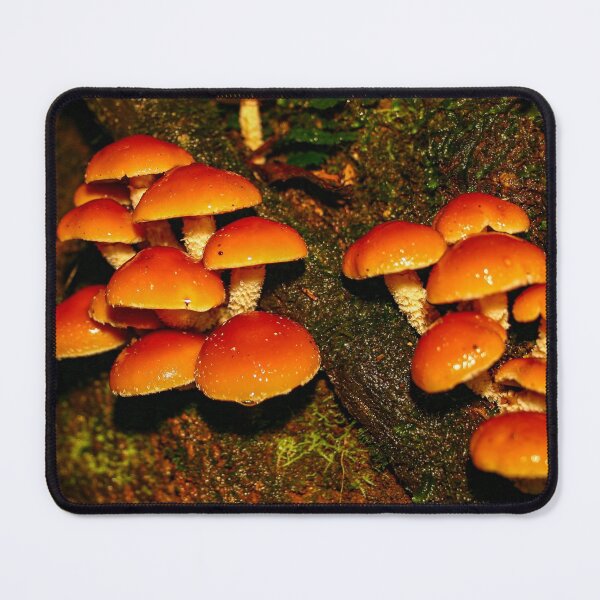 Item preview, A troop of Hypoloma fasciculare fungi mushrooms growing from rotten wood designed and sold by James-Cole.