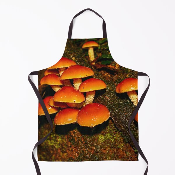 Item preview, A troop of Hypoloma fasciculare fungi mushrooms growing from rotten wood designed and sold by James-Cole.