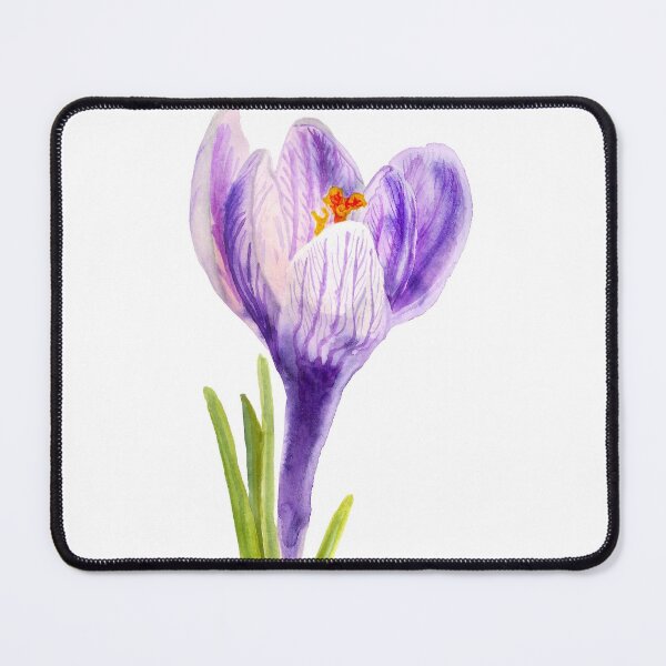 Item preview, Delicate spring flower of crocus designed and sold by Shoshina.
