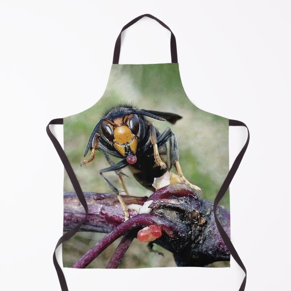 Item preview, r1012 / New Finition 2021 -- Un Frelon Gourmand ! (c)(h) Olavia-Olao Okaio Créations designed and sold by o.okaïo.