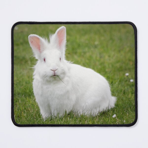 Item preview, White Rabbit designed and sold by HaleyRedshaw.