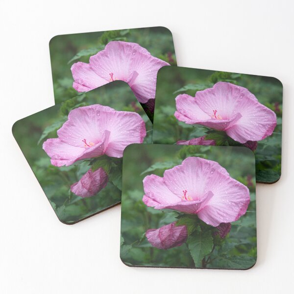 Item preview, Pink Hibiscus 2-2021 designed and sold by Thomasyoung.