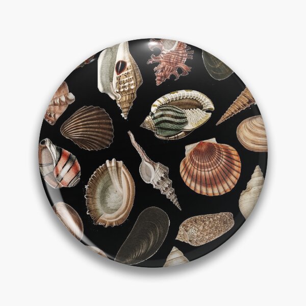 Item preview, Shell collection designed and sold by PoeticGear.