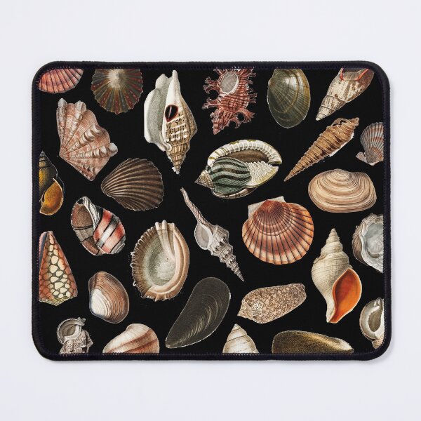 Item preview, Shell collection designed and sold by PoeticGear.