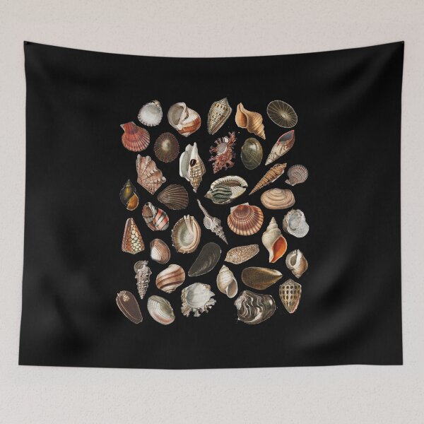 Item preview, Shell collection designed and sold by PoeticGear.
