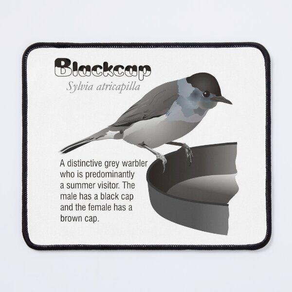 Item preview, Blackcap Garden Bird Illustration designed and sold by BijouArt.