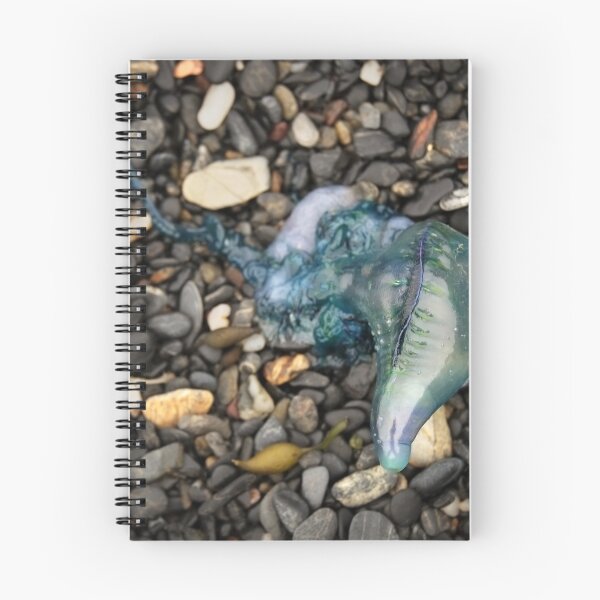 Item preview, Bluebottle designed and sold by Nick Wellman.