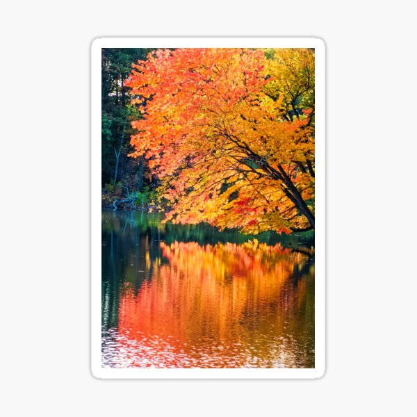 The Magic of Autumn in New England Sticker